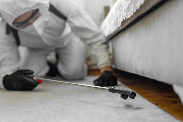 Professional Termite Control technician working in Hilbert, WI