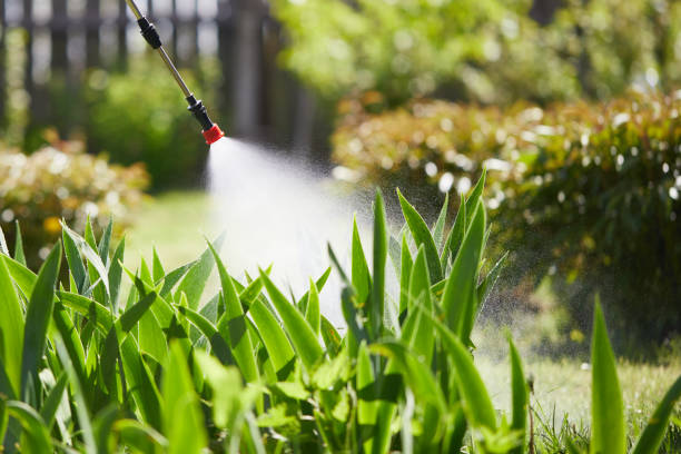 24/7 Emergency Termite Control experts in Hilbert, WI