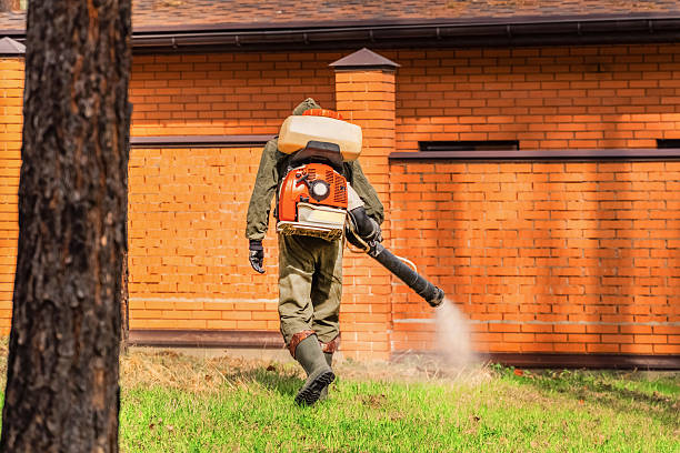 Top rated local Termite Control specialists in Hilbert, WI